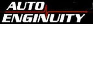 1996 - 2023 BMW & Mini Enhanced OBD-II Auto Enginuity Software (Requires ST06)